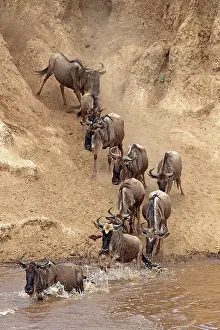 Powder: 80189765 Gnu - migration Kenya Agenzia Giornalistica