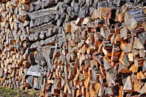 Pile: 80190097 Wood Pile - pile of cut fire wood logs