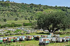 Crete: 80190103 Bee Hives - in mountains Crete, Greece