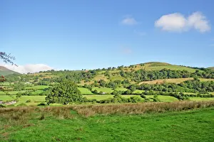 Hedges: 80190122 Fields - on hills with thick hedges Brecon