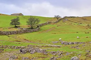 Walls: 80190138 Traditional Stone Walls - in field with