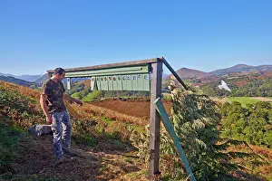 Boxes: 80190197 Wood Pigeon Hunting - boxes with callers