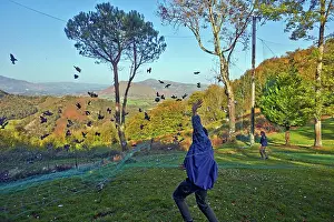 Nets: 80190201 Wood Pigeon Hunting - with nets Basque