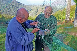 Nets: 80190205 Wood Pigeon Hunting - with nets Basque