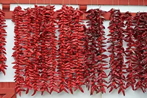Drying: 80190210 Peppers - drying in the sun Basque Country