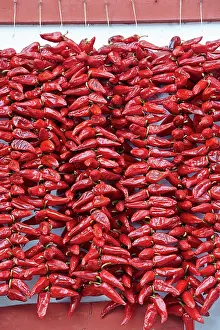 Drying: 80190211 Peppers - drying in the sun Basque Country