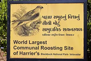 Sign: 80190405 Sign - information panel on Harriers wintering