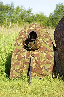 Hide: 80190477 Hide - for wildlife photography Dombes