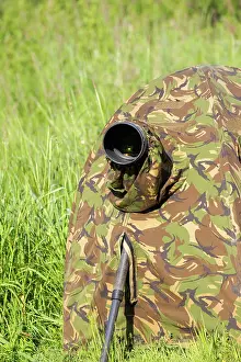 Hide: 80190479 Hide - for wildlife photography Dombes