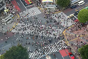Pedestrians: 80191415 People crossing the pedestrian crossing