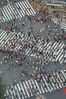 Pedestrians: 80191417 People crossing the pedestrian crossing