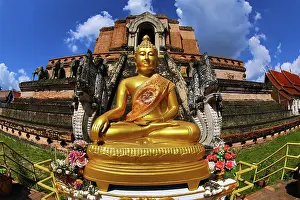 Buddha: 80191439 Gold Buddha statue at Wat Chedi Luang Temple