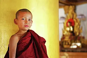 Burma: 80191491 Young monk at the Atum Ash Monastery, Mandalay