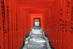 Steps: 80191503 Red Torii gates and steps to the entrance