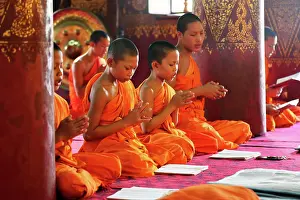 Monks: 80191511 Buddhist monks at worship in Wat Sen temple