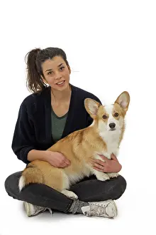 Pembroke: 80191754 Dog - Welsh Corgi Pembroke - with girl