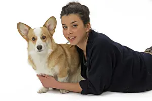 Pembroke: 80191757 Dog - Welsh Corgi Pembroke - with girl