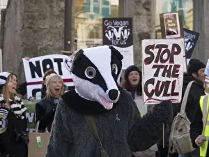 Festival: 80192538 Birmingham Wildlife Festival & Badger March