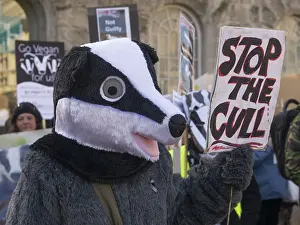 Festival: 80192539 Birmingham Wildlife Festival & Badger March