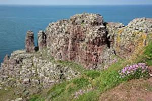 Outcrops: 80192903 Rock Outcrops - on rocky coastline Cap