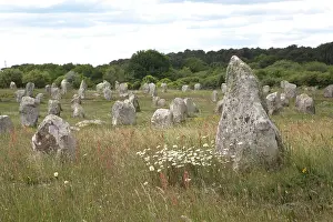 Megalithic: 80192907 Carnac Stones - Megalithic site Menec alignments