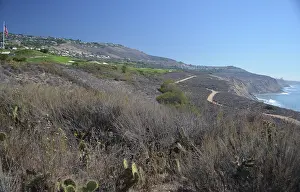 Golf: 80192986 Trump National Golf Club - after four years