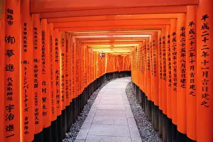 Gates: 80194215 Senbon Torii, tunnels of red torii gates