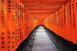 Gates: 80194216 Senbon Torii, tunnels of red torii gates