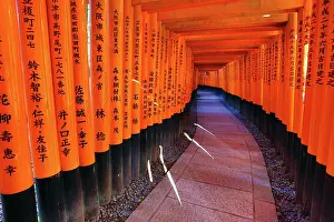 Gates: 80194217 Senbon Torii, tunnels of red torii gates