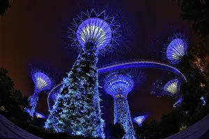 Weird: 80194228 Blue lights of the futuristic Supertrees