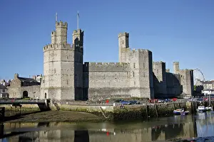 Wales: 80194250 Caernarvon Castle Caernarvon, Wales, Britain