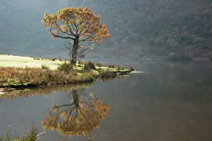 Cumbria: 80194875 Crummock Water Lake District, Cumbria