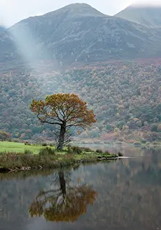 Crummock: 80194876 Crummock Water - with light beam Lake District