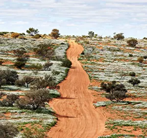 Jean-marc La Roque: 80194892 Simpson Desert - red sandy plain and dunes