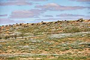 Jean-marc La Roque: 80194893 Simpson Desert - red sandy plain and dunes
