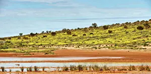 Jean-marc La Roque: 80194894 Simpson Desert - red sandy plain and dunes