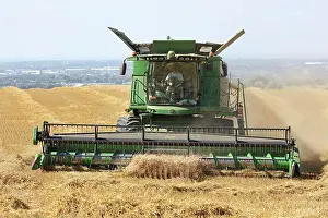 Harvesting: 80194899 Farming - combine harvester harvesting