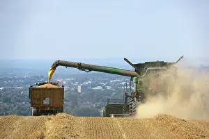 Harvesting: 80194900 Farming - combine harvester harvesting