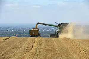 Harvesting: 80194901 Farming - combine harvester harvesting