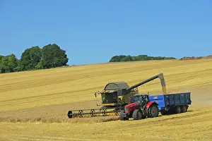 Harvesting: 80194903 Farming - combine harvester harvesting