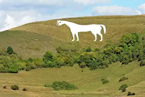 Chalk: 80195280 White Horse Westbury Salisbury Plain, UK