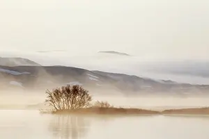 Myvatn: 80195536 Lake Myvatn - early morning mist Lake Myvatn
