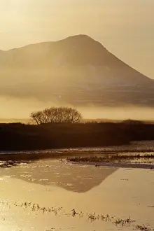 Myvatn: 80195537 Lake Myvatn - early morning mist Lake Myvatn