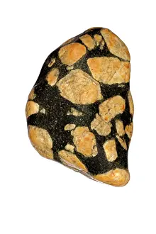 Feldspar: 80195605 Porphyry, Montana, polished in river, feldspar
