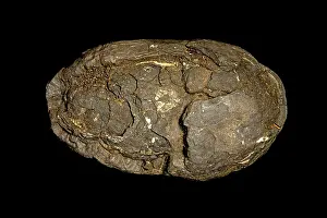 Called: 80195614 Polymetallic nodule, also called manganese