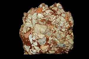 John Cancalosi: 80195620 Leesburg Limestone Conglomerate - Frederick