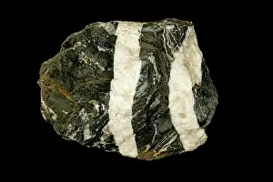 John Cancalosi: 80195623 Limestone with calcite veins, Maryland
