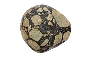 Feldspar: 80195630 Porphyry, feldspar mega-crysts in mafic