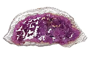 Mina: 80195632 Fluorite, Ca Fl, Mina la Navidad, Durango