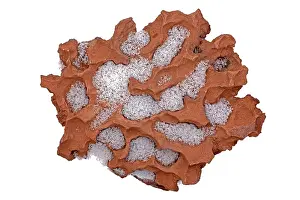 Weathered: 80195635 Weathered sandstone Utah, with snow John